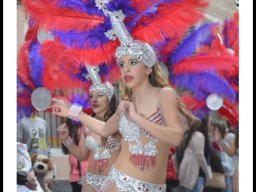 Carnaval de Mula 2014